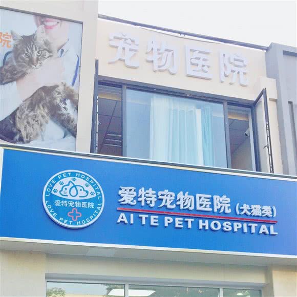爱特宠物医院:合肥市政务区天鹅湖银泰城附近