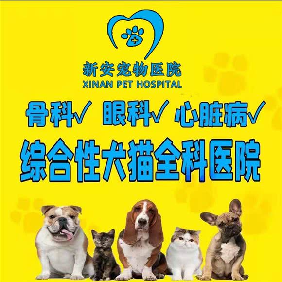 新安宠物医院·豪斯店:合肥市政务区天鹅湖银泰城附近