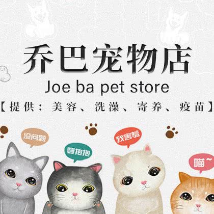 乔巴宠物·萌猫萌狗售卖:合肥市经开区港澳广场附近