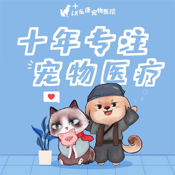 乐康宠物医院(港澳广场总院):合肥市经开区港澳广场附近