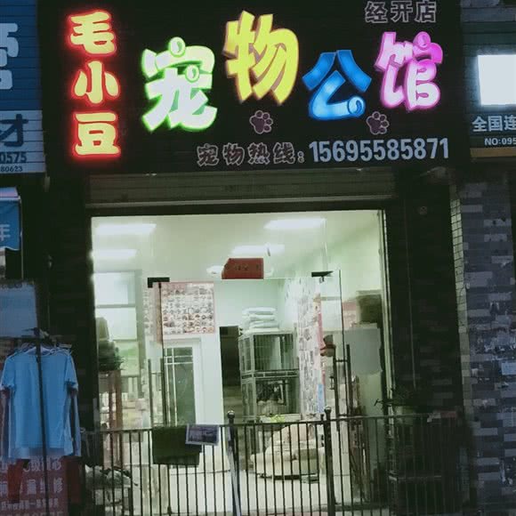 毛小豆宠物公馆(经开店):合肥市经开区中环城附近