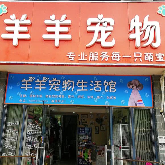 羊羊宠物生活馆(芙蓉路店):合肥市经开区中环城附近
