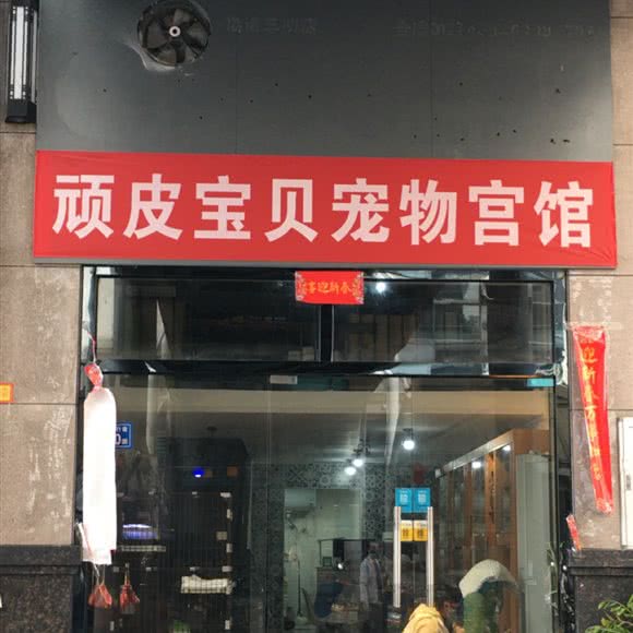 顽皮宝贝宠物宫馆:三明市梅列区列东街/沃尔玛附近