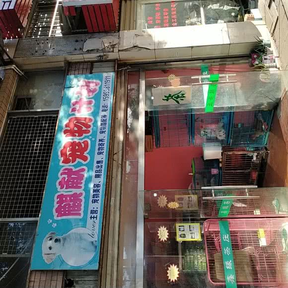 麒献宠物计划:三明市梅列区列西附近