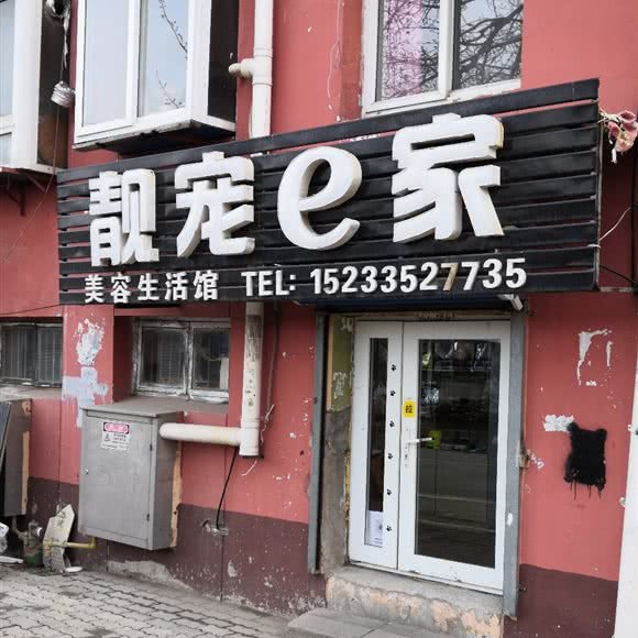靓宠e家:秦皇岛市海港区文化路附近