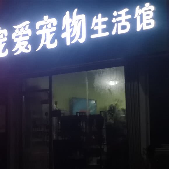 宠爱宠物生活馆:威海市高区钦村附近