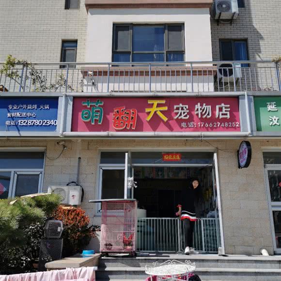 萌翻天宠物店:威海市高区田村附近