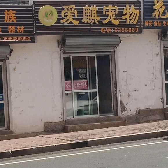 爱麒宠物:威海市高区幸福广场/泰浩广场附近