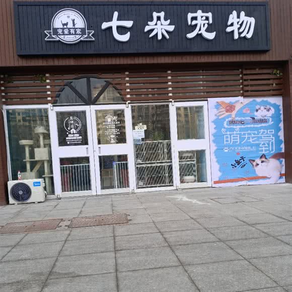 宠爱有家七朵宠物:威海市高区翠竹园附近