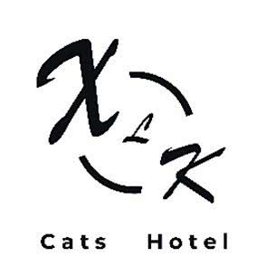 XLK Cats Hotel猫咪精品美容洗护酒店:郑州市郑东新区汽车东站附近