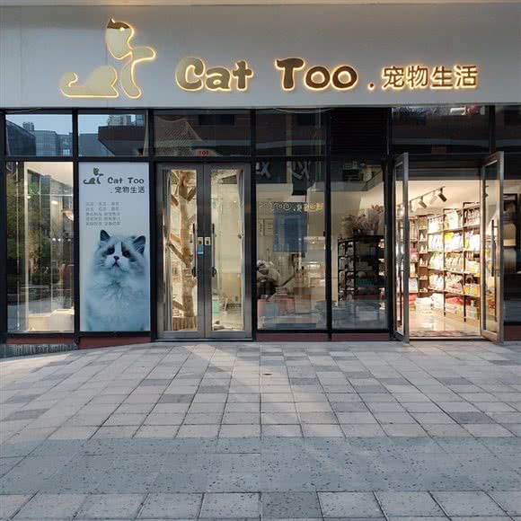 Cat Too·宠物生活:郑州市郑东新区汽车东站附近