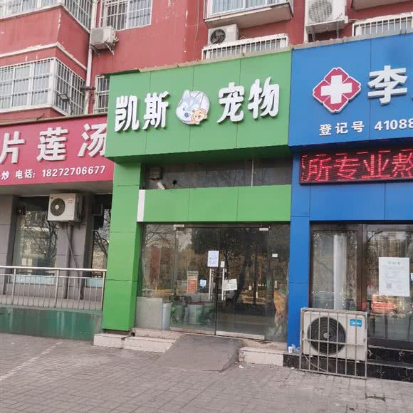 凯斯宠物:济源市济源市其他北海中学附近