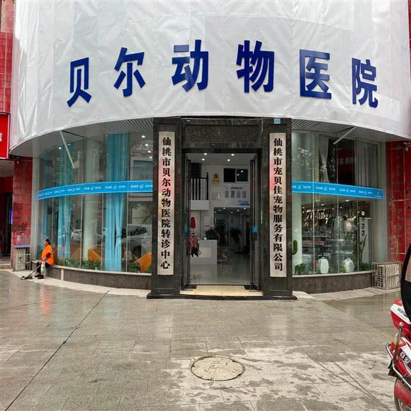 莱斯宠物医院:仙桃市城区商城大厦/大新路附近
