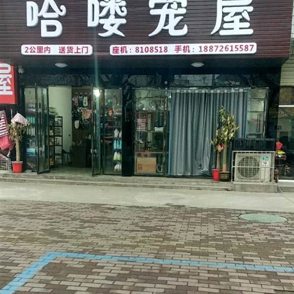 哈喽宠屋:潜江市城区虾街附近
