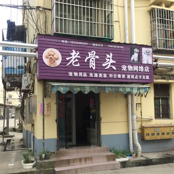 老骨头宠物网络店:潜江市潜江市其他广华附近