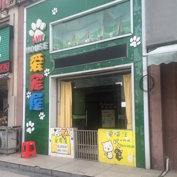 爱宠屋:潜江市潜江市其他曹禺公园附近