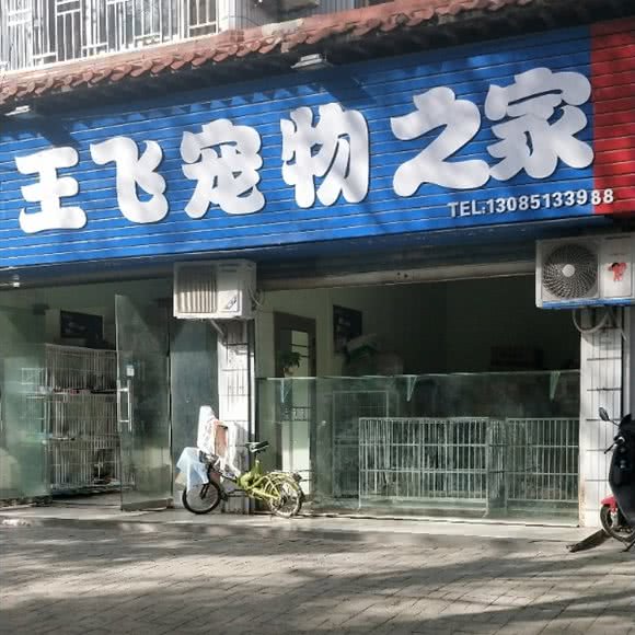 王飞宠物之家:天门市天门市其他天门市中心城区附近