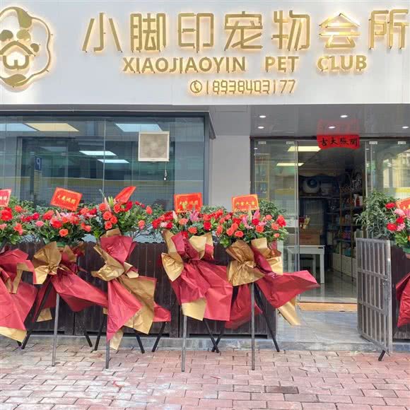 小脚印宠物会所:湛江市开发区荣基国际广场附近