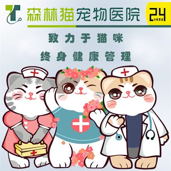 森林猫宠物医院(科技六路建邦华庭分院 ):西安市高新区科技路沿线附近