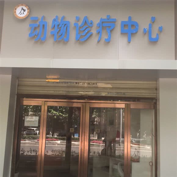 六安堂动物诊疗中心:西安市高新区科技路沿线附近