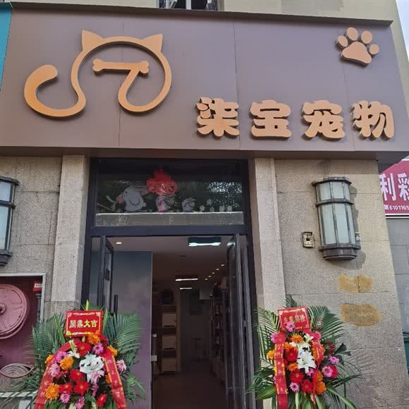 柒宝宠物:西安市高新区丈八附近