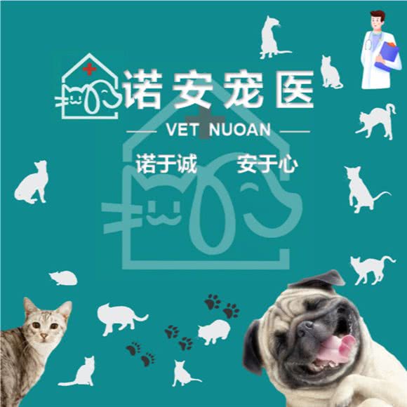 诺安宠物诊所:西安市高新区丈八附近