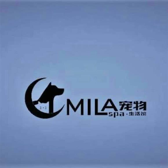 MILA宠物&喜马拉雅猫舍:西安市高新区高新路沿线附近