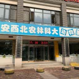 西北农林科大动物医院:西安市高新区高新路沿线附近