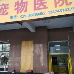 紫藤宠物医院:西安市高新区电子城附近