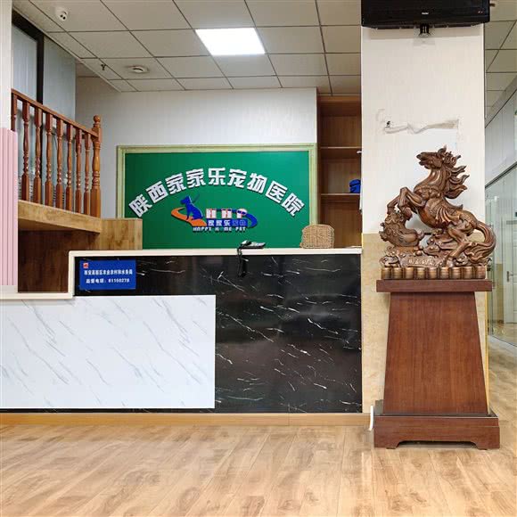家家乐宠物诊所(绿地分院):西安市高新区绿地世纪城附近