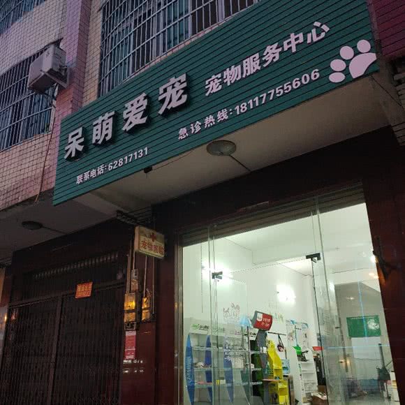 呆萌爱宠宠物医院:琼海市琼海市其他爱华西路附近