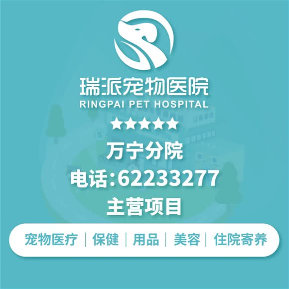 瑞派宠物医院(万宁分院):万宁市万城镇环市一路附近
