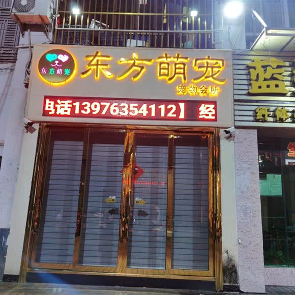 东方萌宠:东方市东方市其他永安西路附近