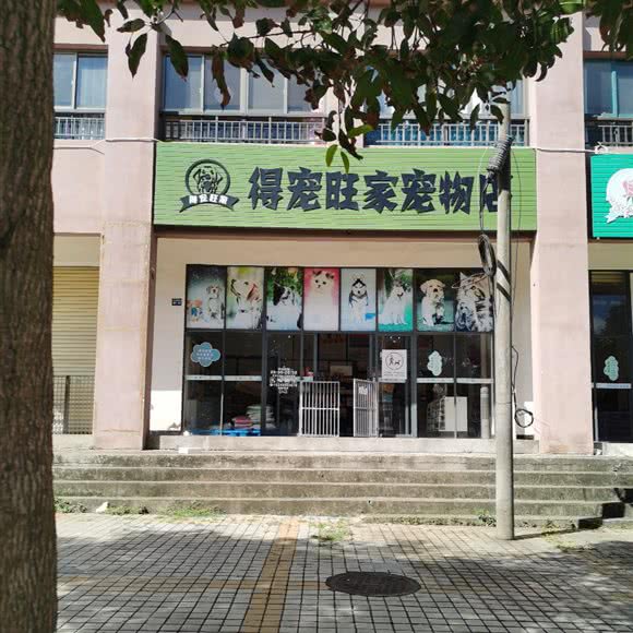 得宠旺家宠物店:定安县定安县其他安定县政府附近