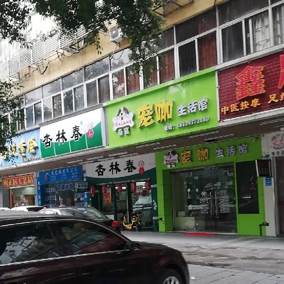 宠咖生活馆(东城店):东莞市莞城街道东纵路附近