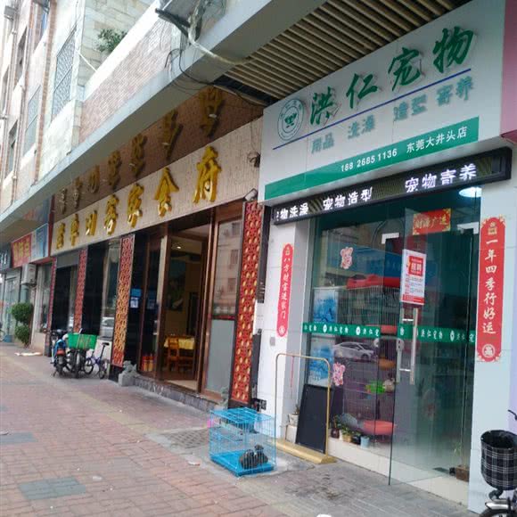 洪仁宠物(东莞大井头店):东莞市莞城街道东纵路附近