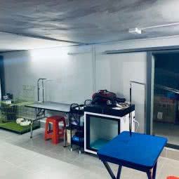 邹浩钟宠物美容工作室:东莞市石龙镇老城区附近