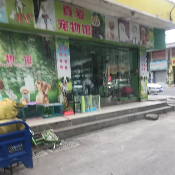 真爱宠物馆(石龙广源路店):东莞市石龙镇石龙镇附近