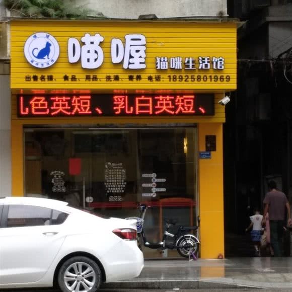 喵喔猫咪生活馆:东莞市石龙镇石龙镇附近