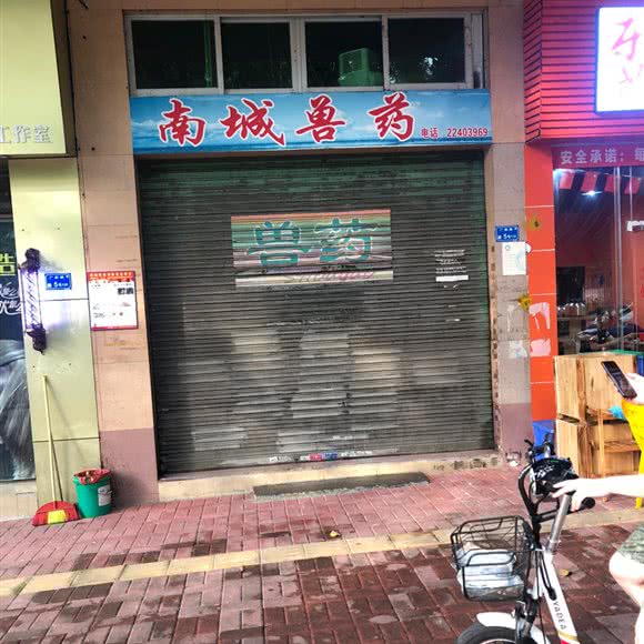 南城兽医:东莞市南城街道水濂山附近