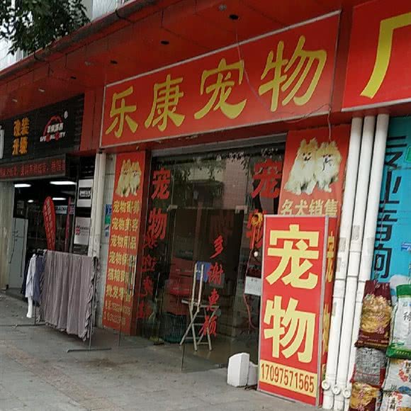 乐康宠物:东莞市中堂镇中堂镇中心城区附近