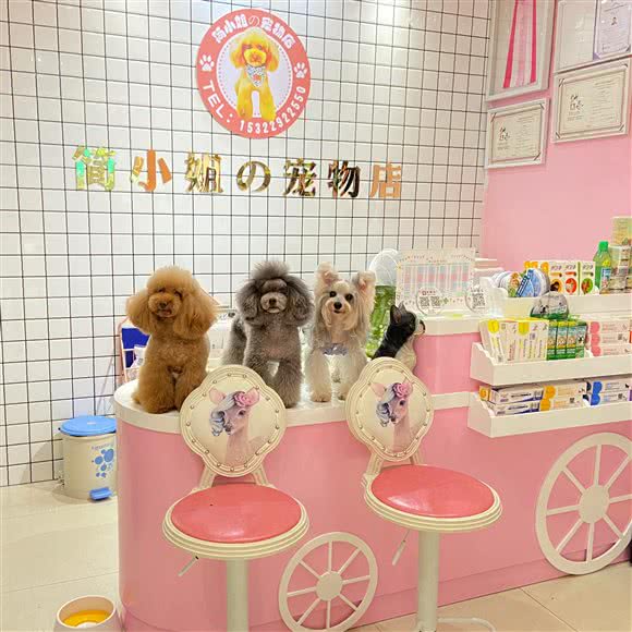 简小姐の宠物店(东城1号店):东莞市东城街道东城万达广场附近