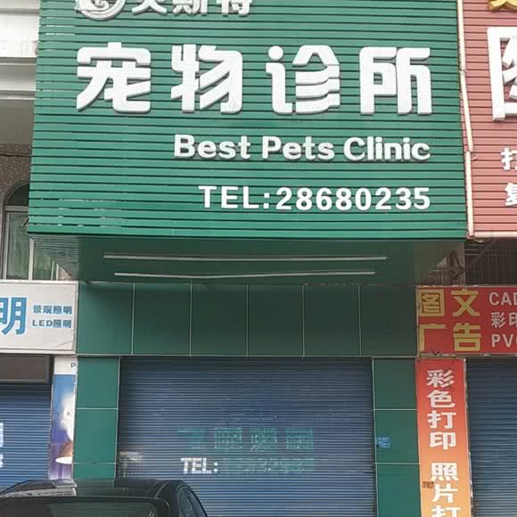 贝斯特宠物诊所:东莞市东城街道东城万达广场附近