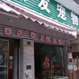 家友宠物(莞城店):东莞市东城街道花园新村附近