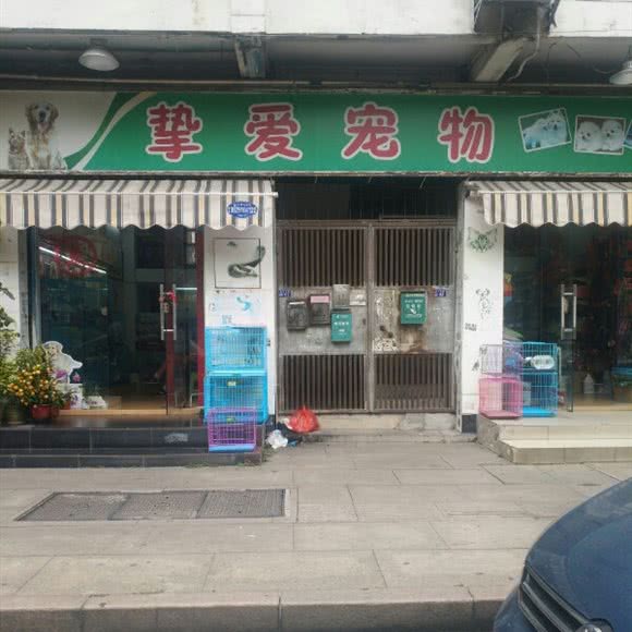 挚爱宠物(新河北路店):东莞市东城街道花园新村附近