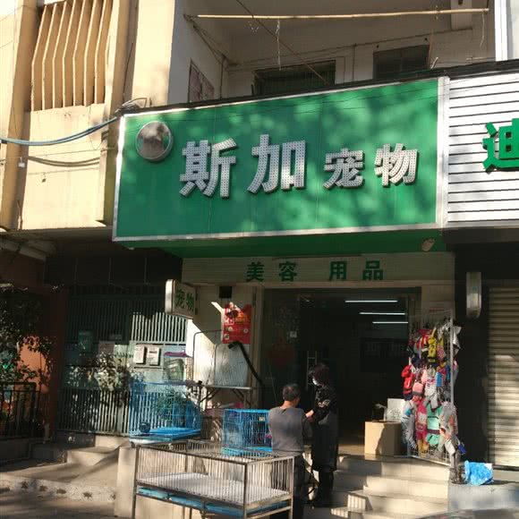 斯加宠物:东莞市东城街道花园新村附近