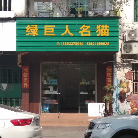 绿巨人名猫:东莞市东城街道花园新村附近