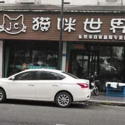 猫咪世界:东莞市东城街道花园新村附近