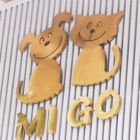 migo宠物:东莞市东城街道世博/世纪广场附近