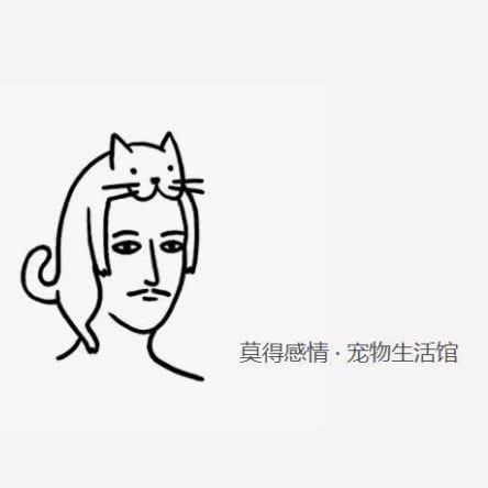 莫得感情宠物生活馆:东莞市东城街道运河路附近